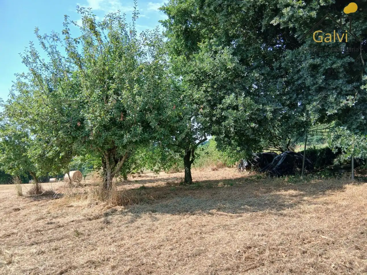 Finca rústica en venda en O Saviñao  amb Traster i Moblat