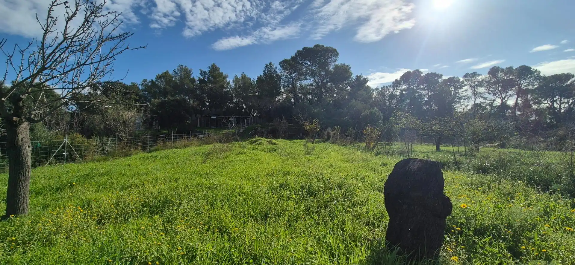 Maison rustique avec terrasse à vendre à Polígono 4 Paraje 41 SA TAULERA, imagen 15