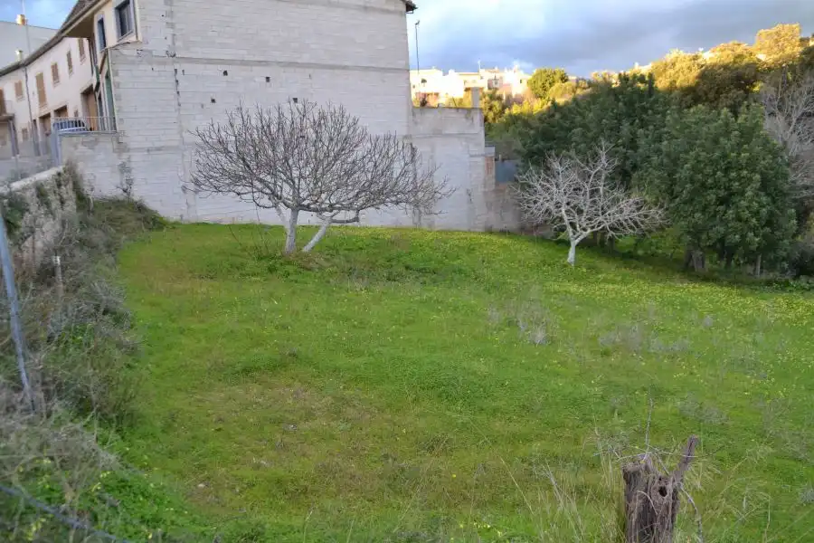 Terrenys i solars en venda a Campanet