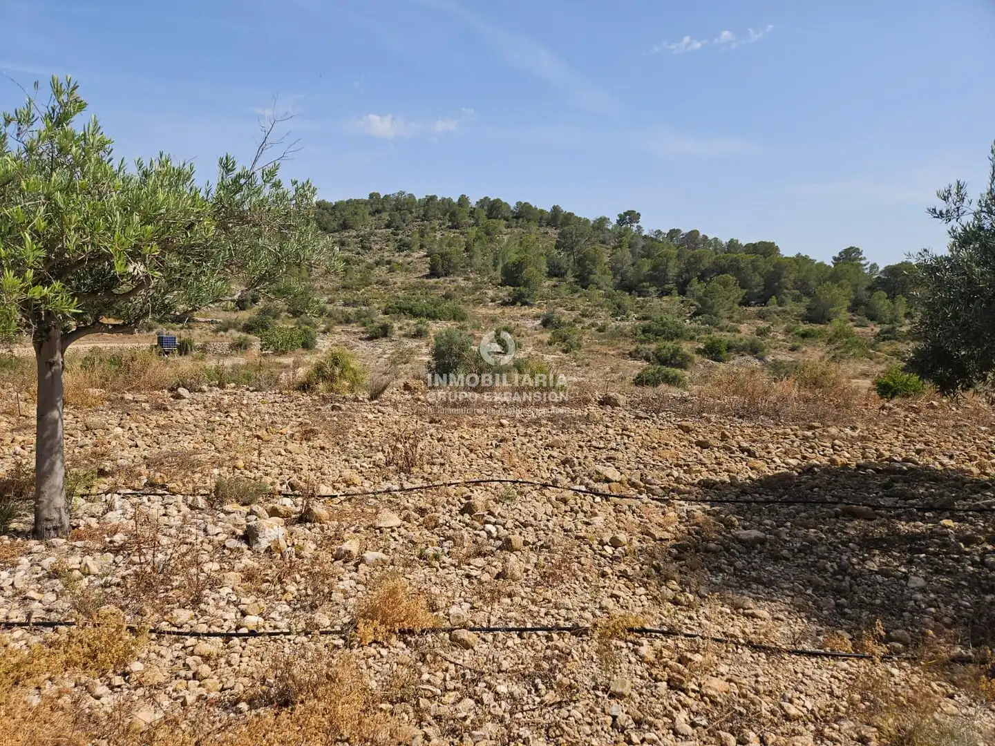 Casa o chalet en venta en Aspe