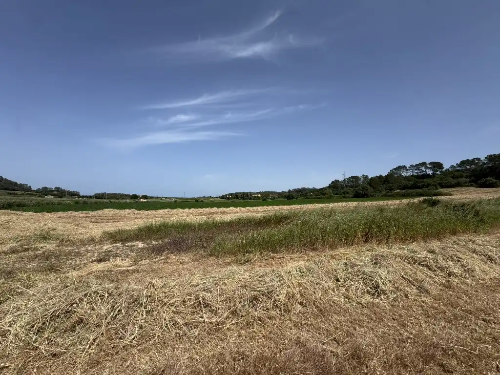Terreny rústic en venda a Sineu, imagen 6