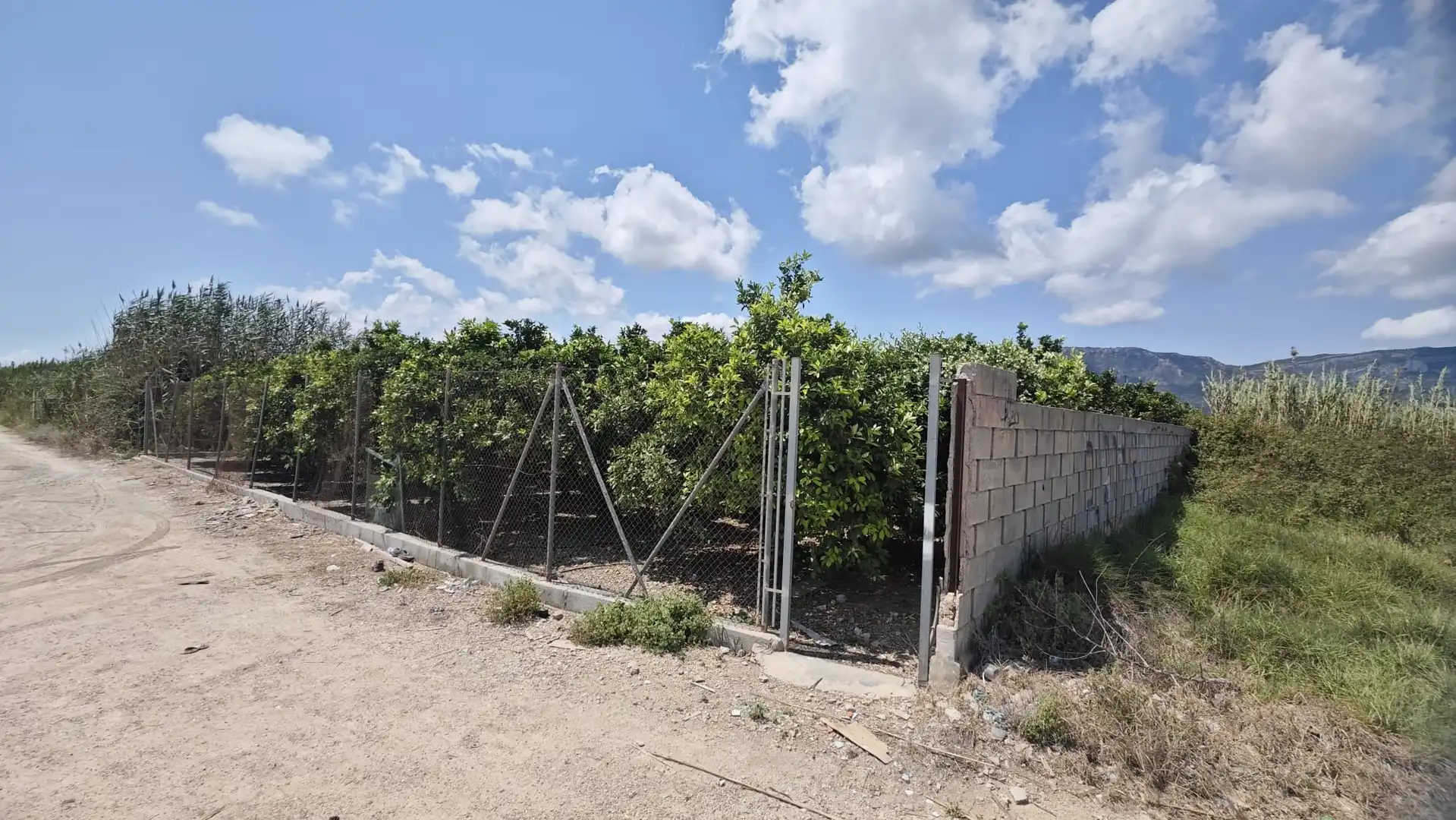 Terreny residencial en venda a Tavernes de la Valldigna, imagen 2