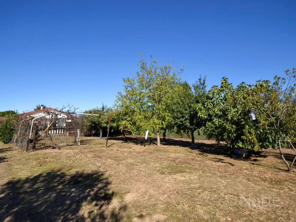 Casa o chalet en venta en Fuente El Saz de Jarama, Madrid