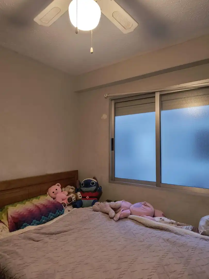 Apartament en venda a Pla - Carolinas, imagen 12