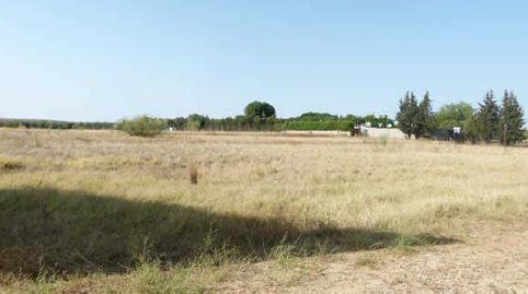 Foto 3 de Residencial en venta en Snp-12. el Castillo I, S/n, Centro - Doña Mercedes, Dos Hermanas