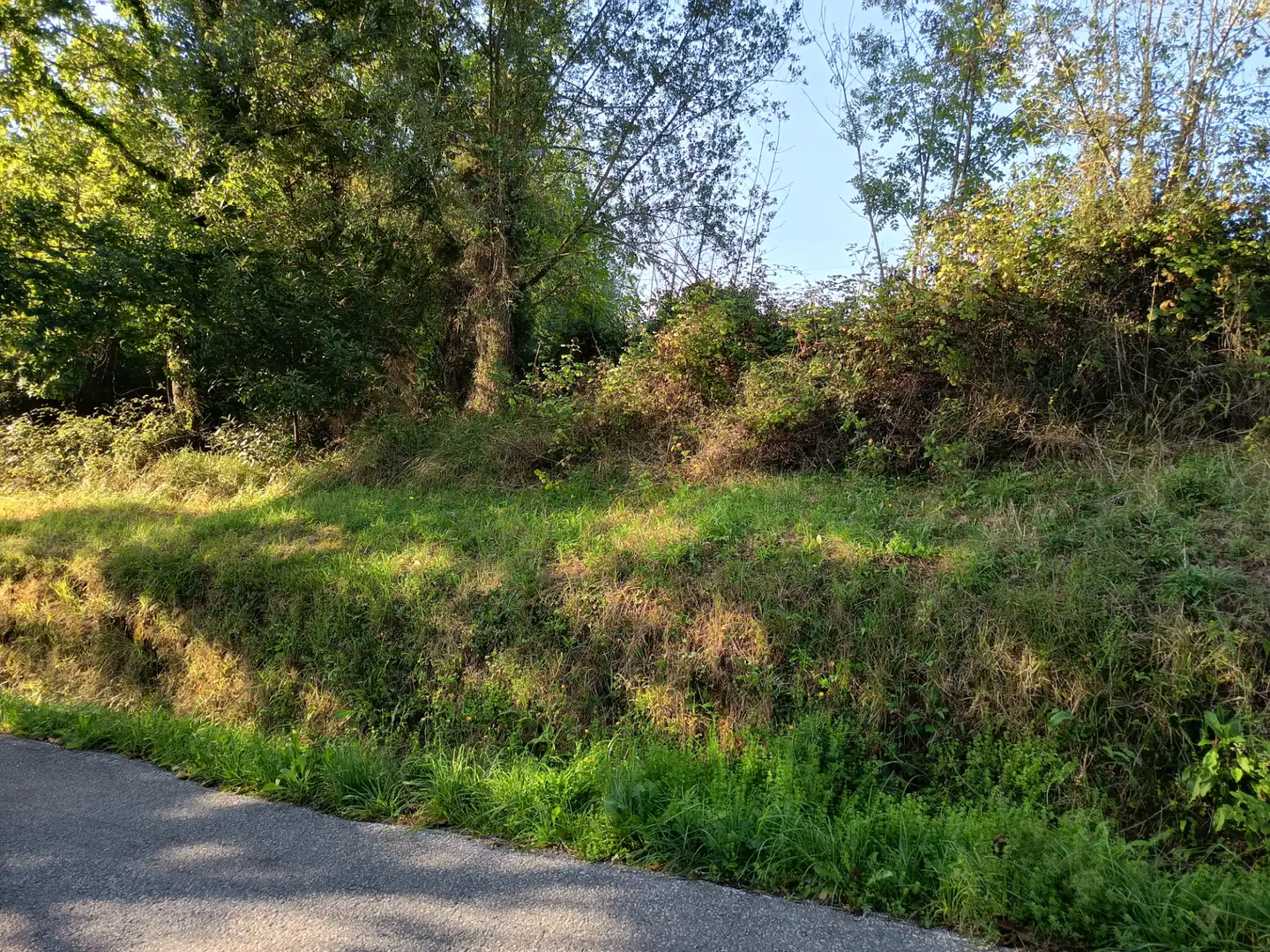 Rural land for sale in Lugar el Ponton, imagen 8