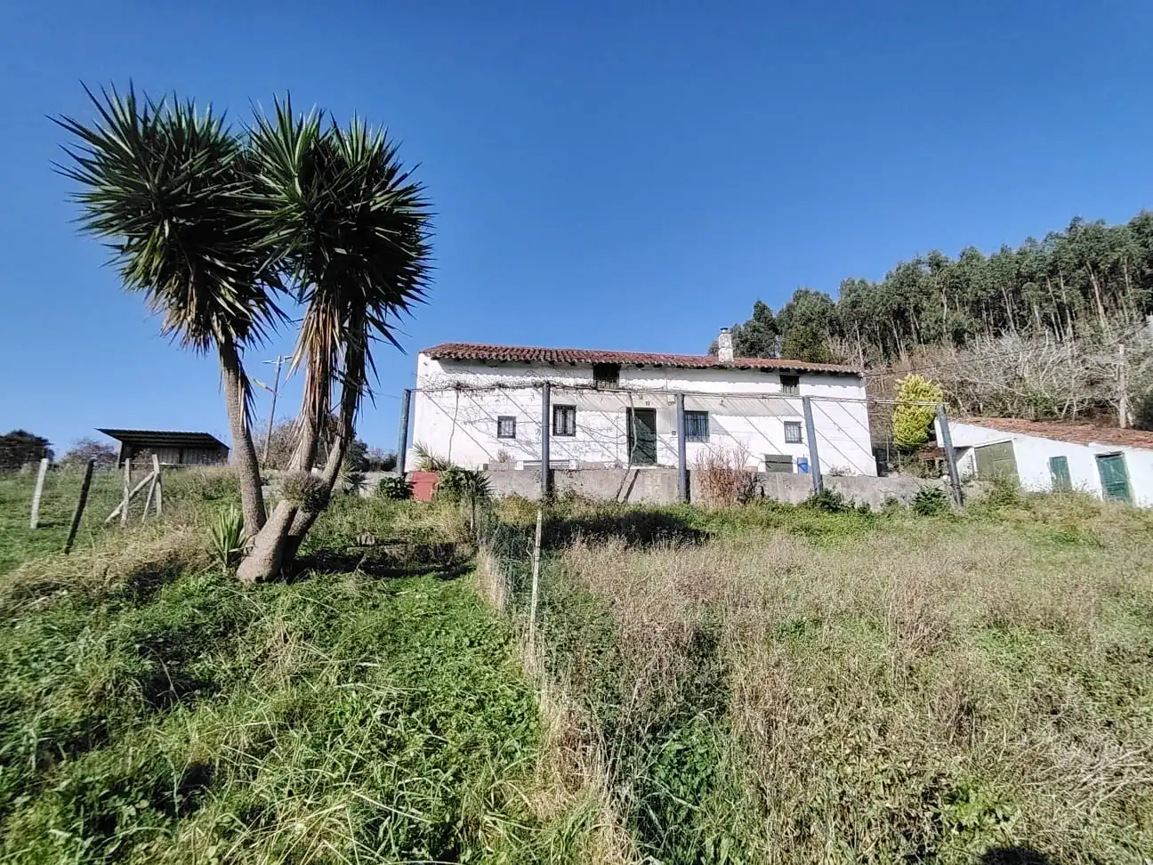 Vista exterior de Casa o chalet en venta en Gorliz con Jardín privado y Trastero