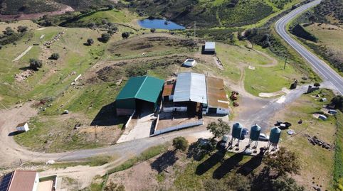 Foto 4 de Finca rústica en venta en Sanlúcar de Guadiana, Huelva