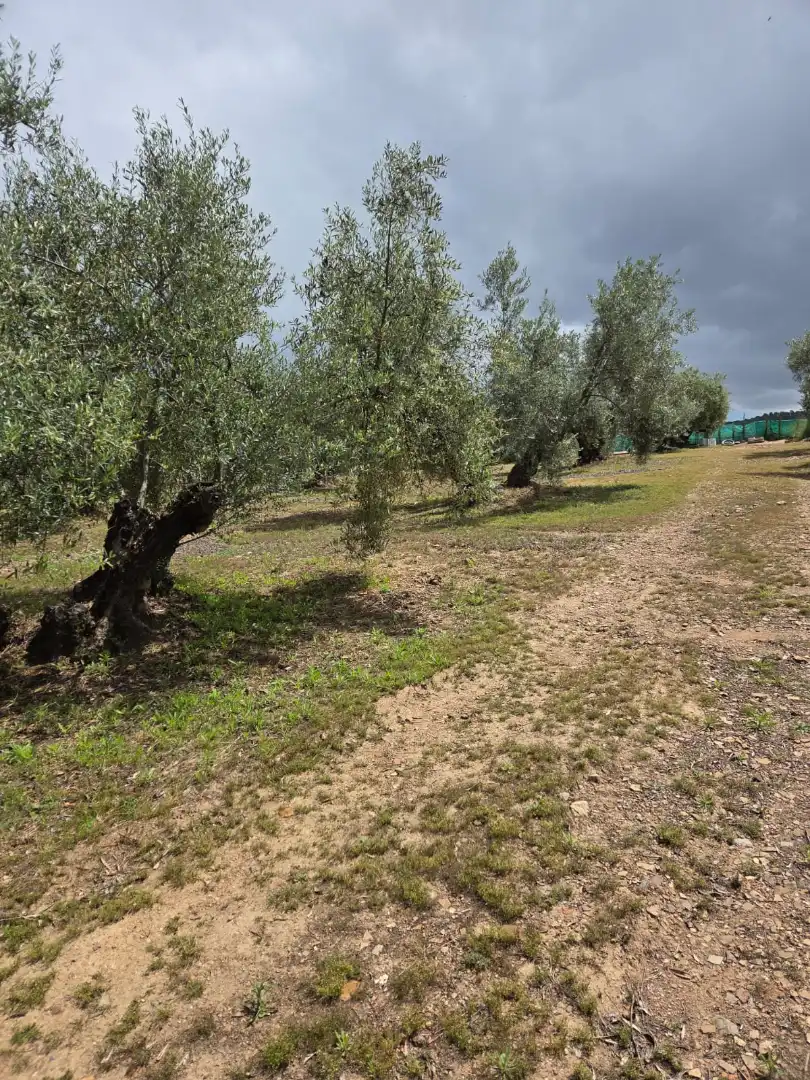 Terreni e lotti in vendita a Aldeaquemada, imagen 11