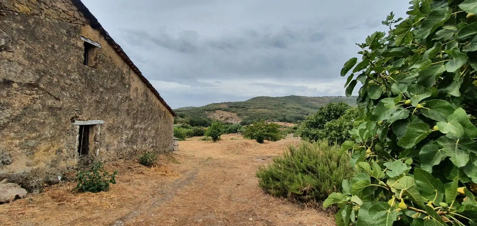 Terreni e lotti in vendita a Jarandilla de la Vera, imagen 2