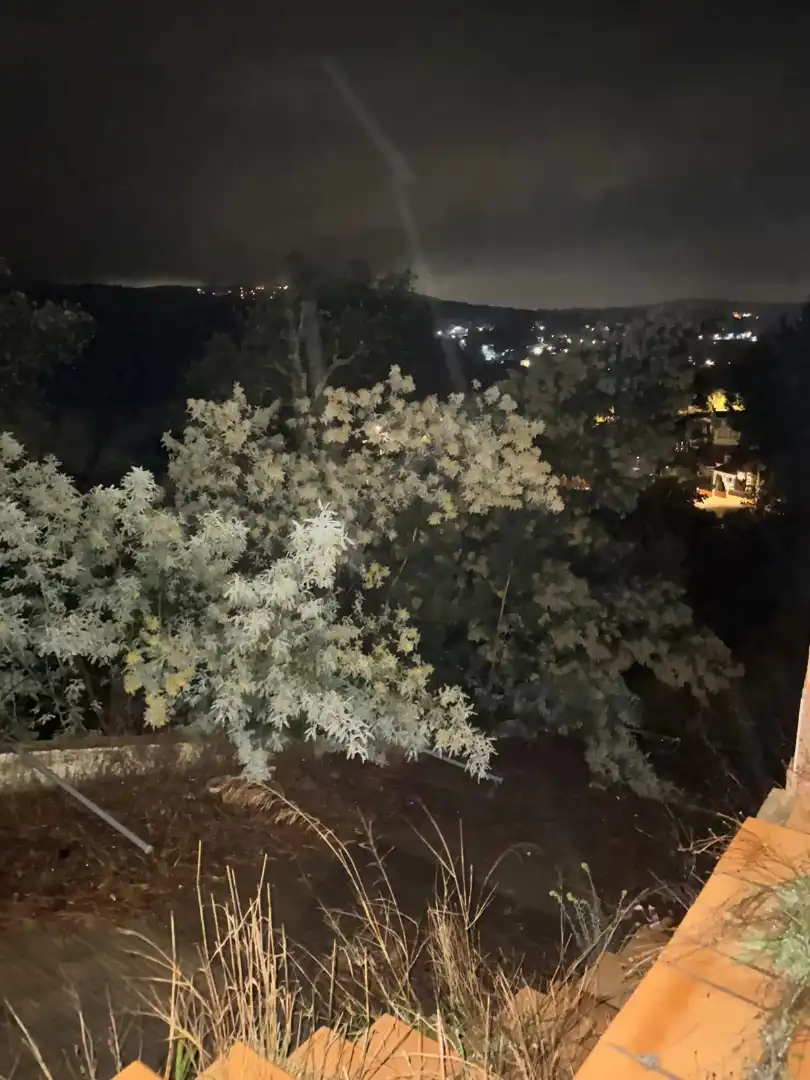 Xalet en venda a Carrer Petúnia, imagen 11