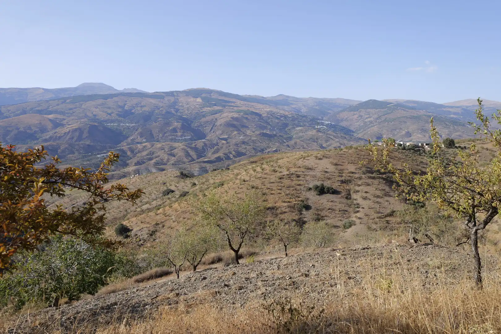 Finca rústica en venta en Cádiar