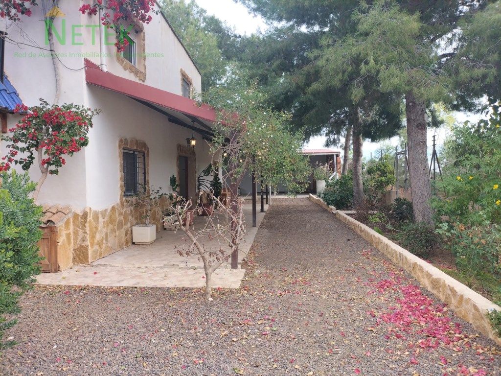Garden of House or chalet for sale in Alguazas  with Terrace and Swimming Pool