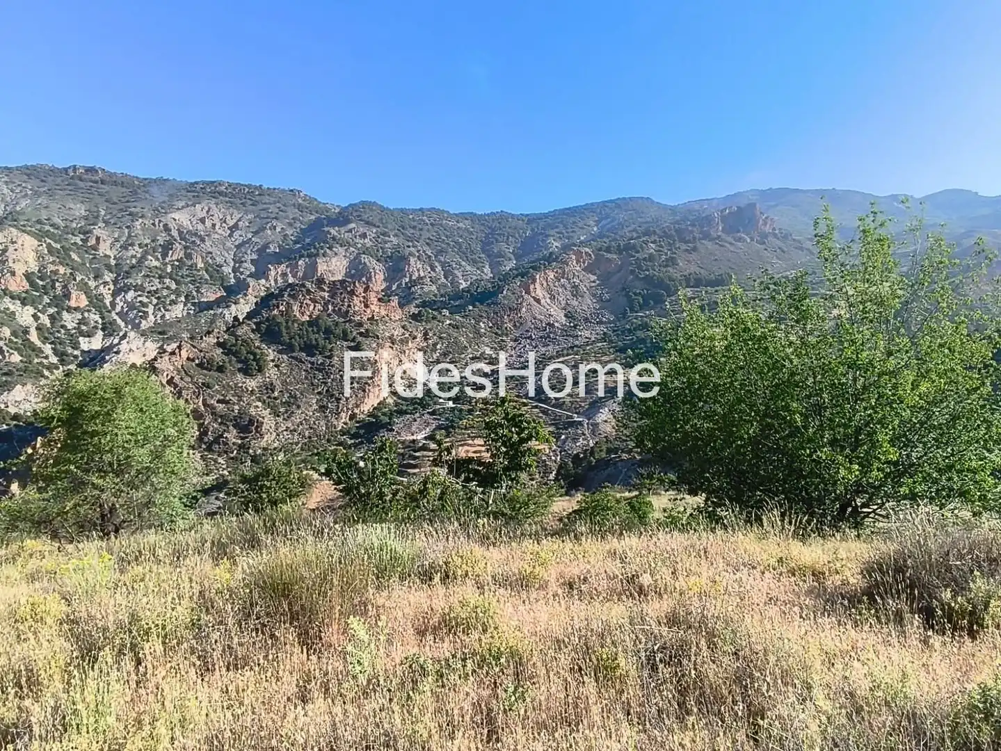 Rural land for sale in XFPP+9QX Nigüelas 0, imagen 12