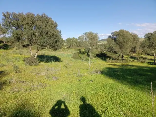 Terrain rustique à vendre à Vejer