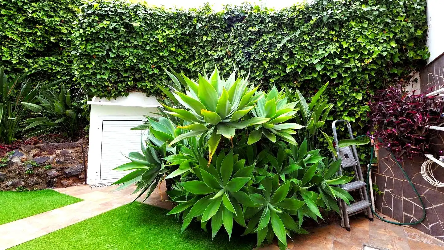 Garden of Ground floor for sale in Puerto de la Cruz  with Terrace and Furnished