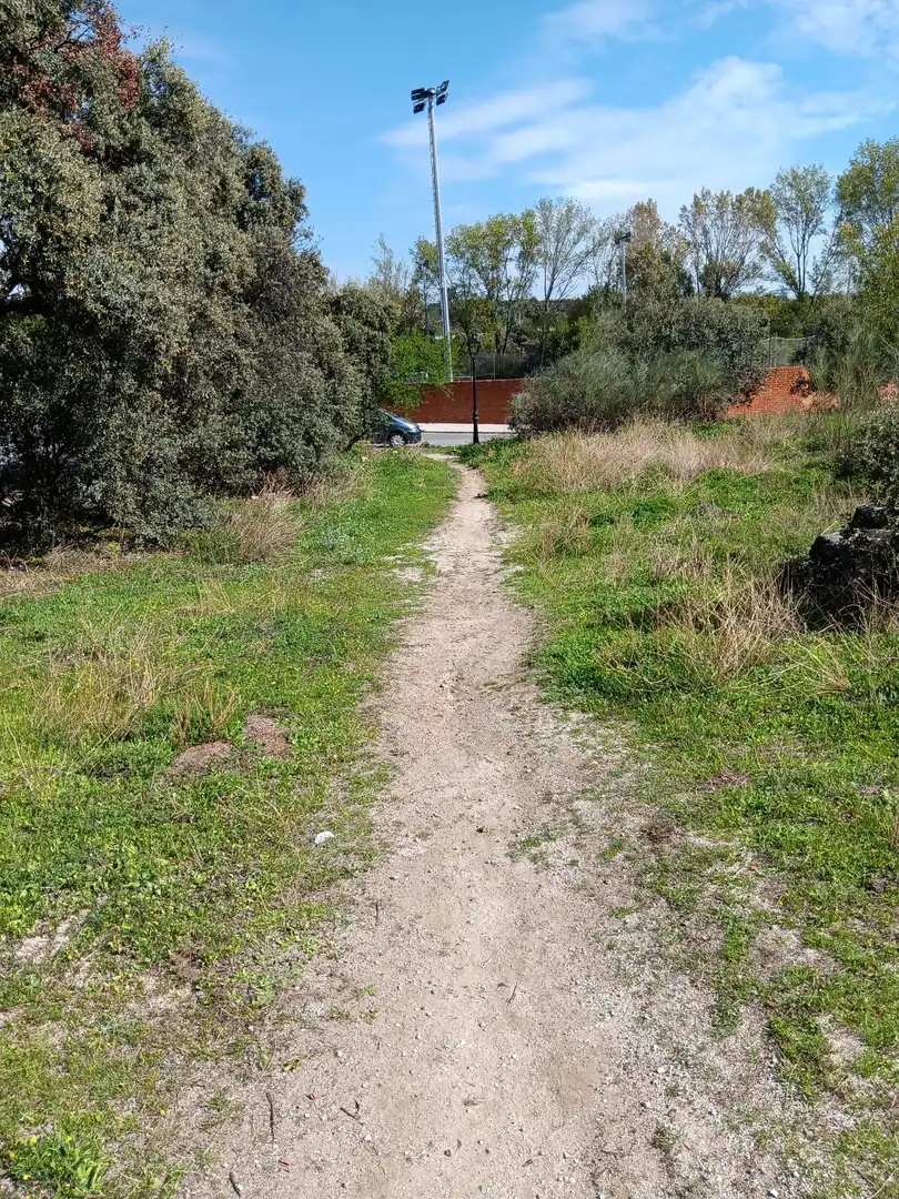 Terreno residencial en venta en Calle de Madrid 20, imagen 11