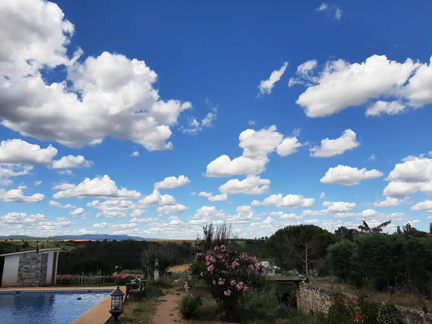 Jardí de Casa o xalet en venda en Matarrubia