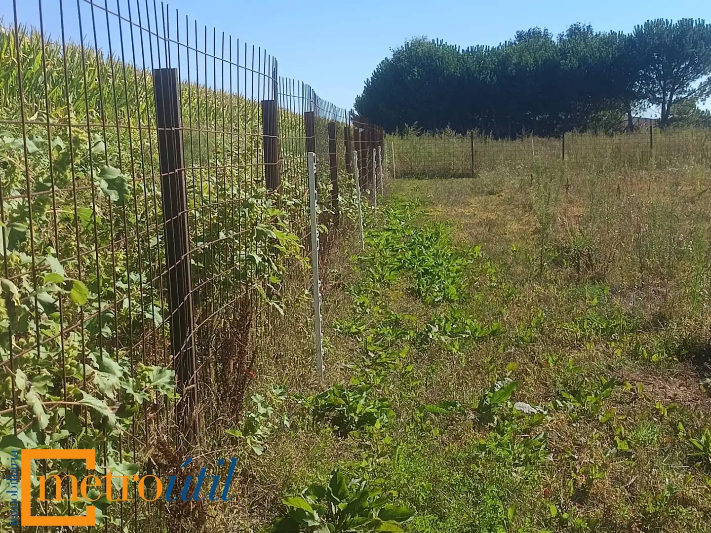 Land for sale in Babilafuente