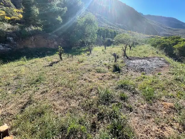 Terreno rústico en venta en Paraje los Molinicos 1, imagen 8