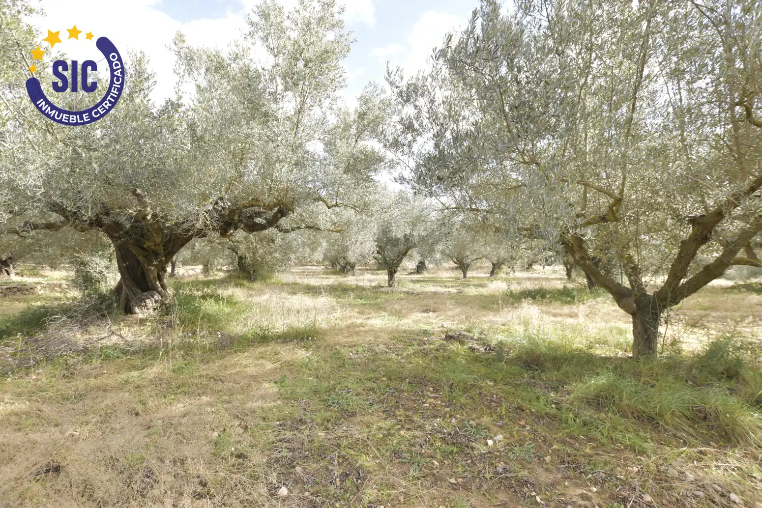 Land for sale in Jérica
