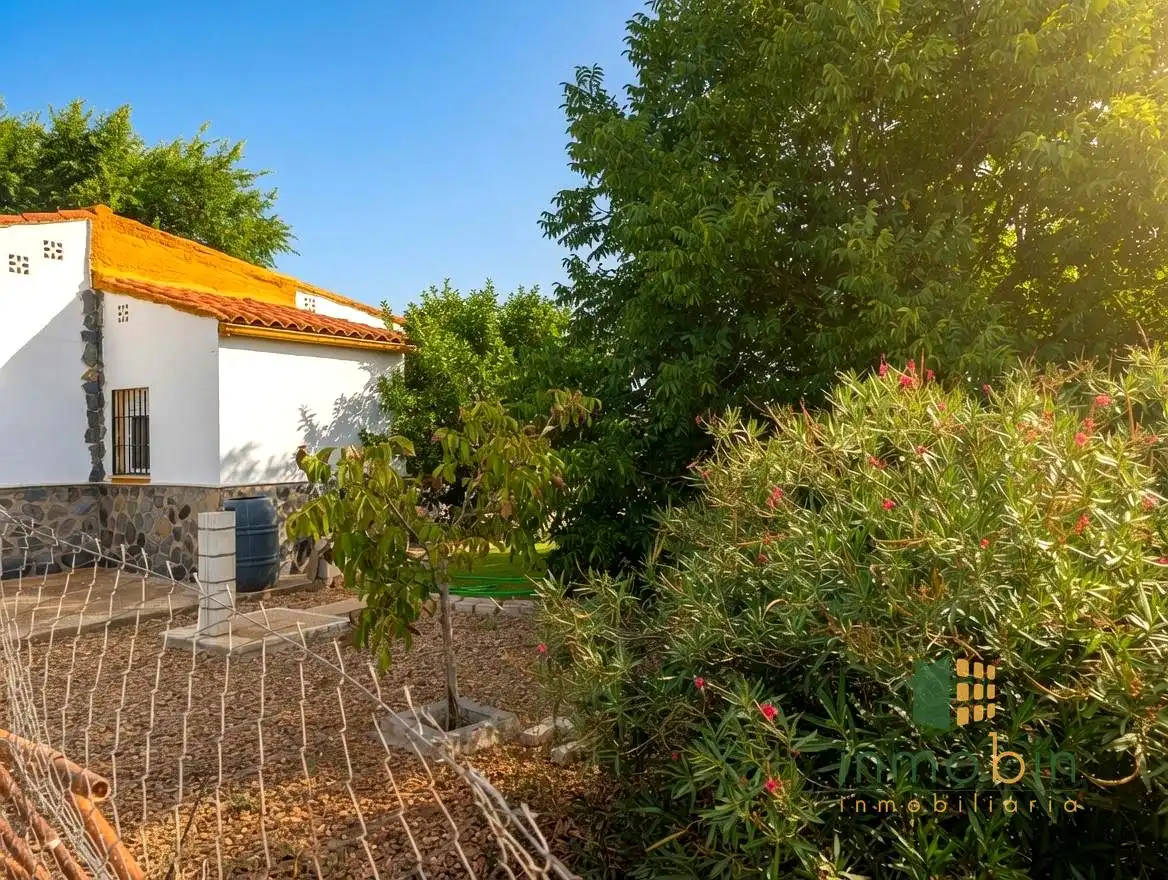 Maison rustique avec piscine à vendre à Don Benito, imagen 20
