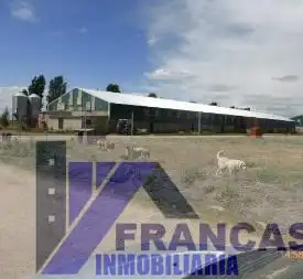 Nau industrial en venda en San Vicente del Palacio