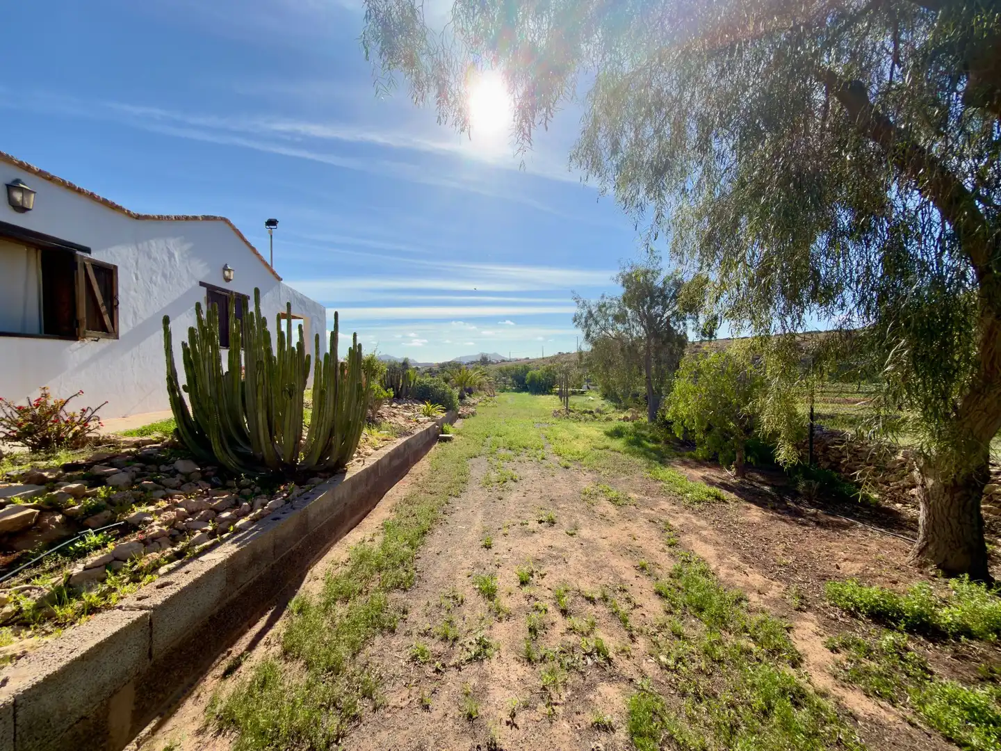 Jardín de Finca rústica en venta en Tuineje con Piscina