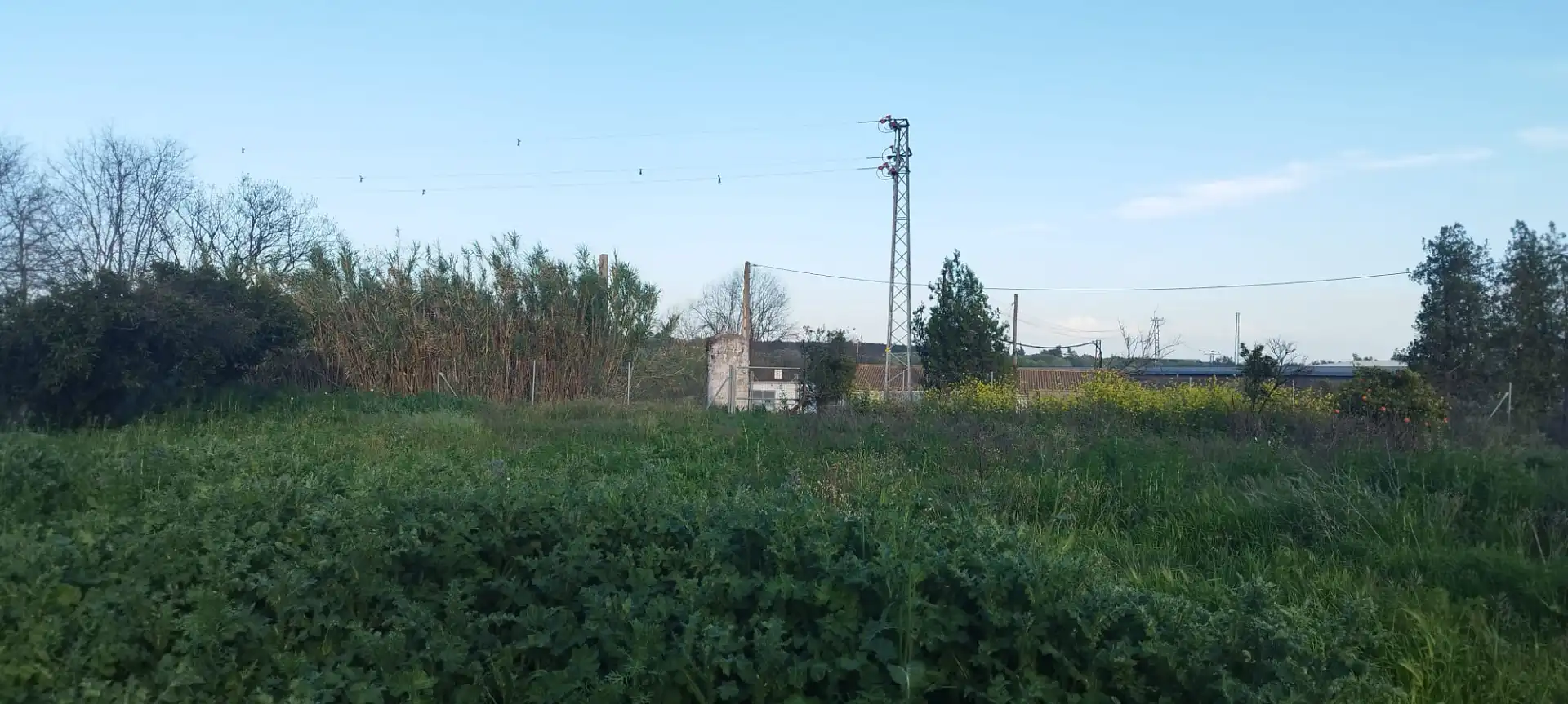 Finca rústica en venda en Aznalcázar