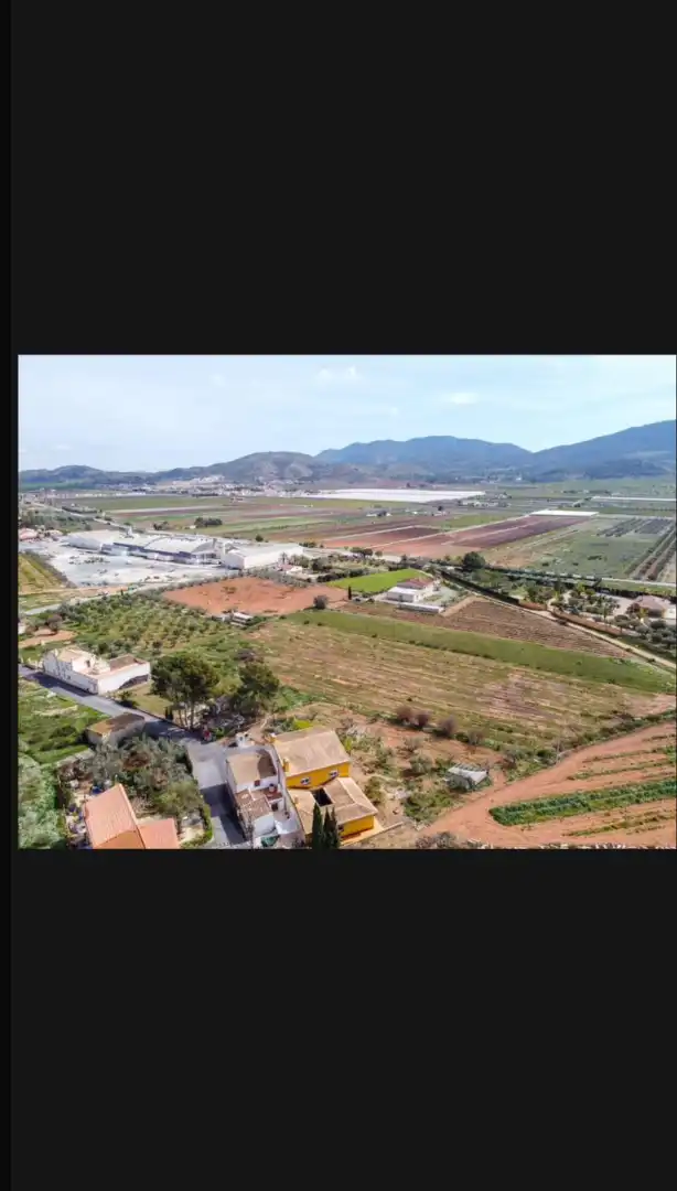 Rural land for sale in Hondón de las Nieves / El Fondó de les Neus