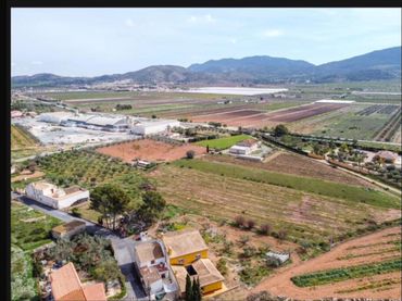 Terreny rústic en venda a Hondón de las Nieves / El Fondó de les Neus