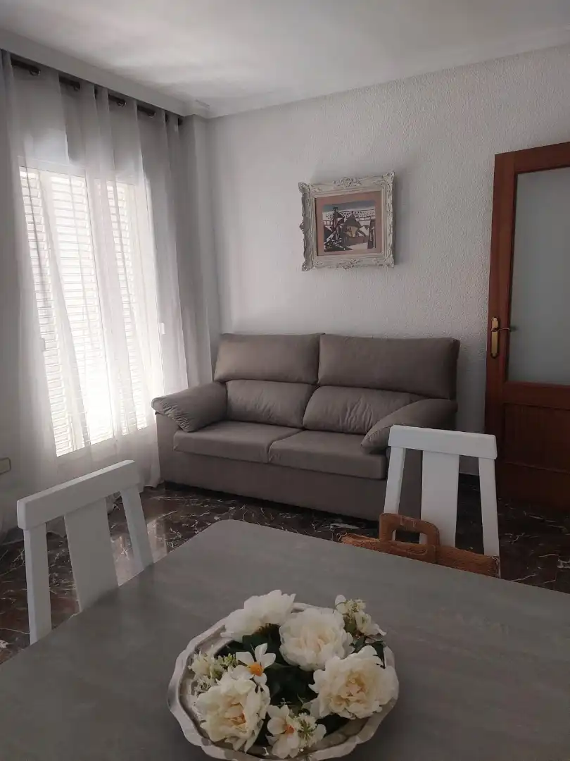 Living room of Flat for rent in Centro ciudad