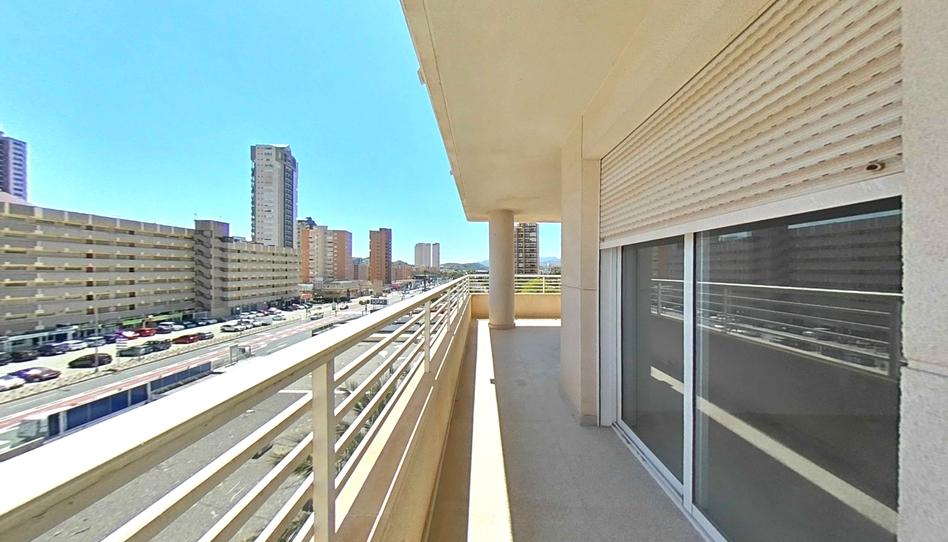 Photo 1 of Apartment for sale in Avinguda de Benissa, 1, Benidorm, Spain, 1, Playa Poniente, Alicante
