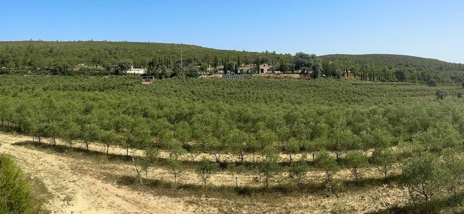 Finca rústica en venta en Enguera con Calefacción, Jardín privado y Terraza
