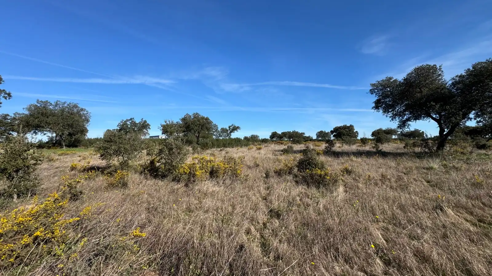 Terreno en venta en Cáceres