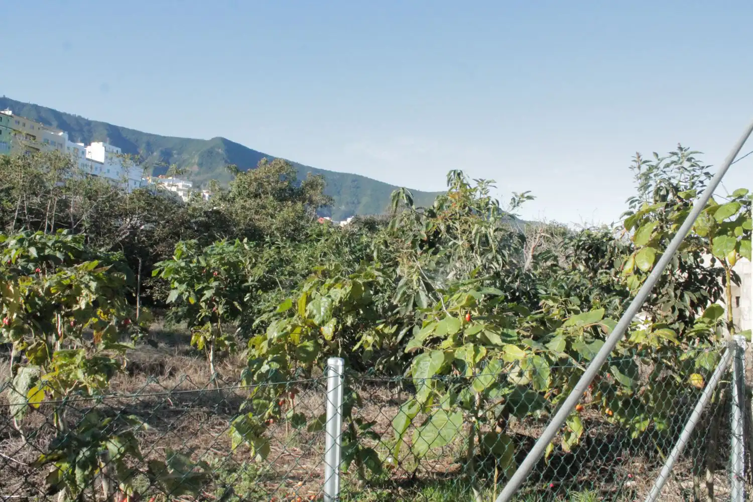Casa o chalet en venta en Los Realejos con Balcón
