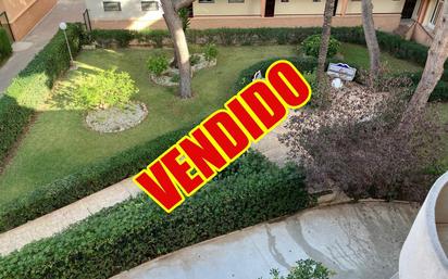 Jardí de Apartament en venda en Pilar de la Horadada amb Traster