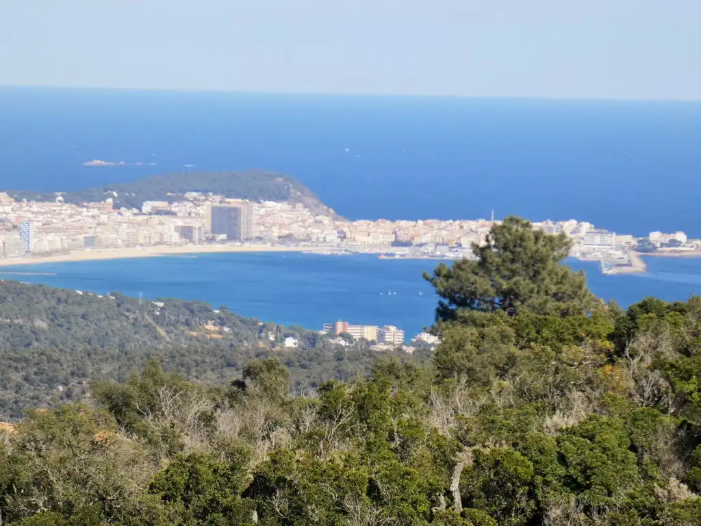 Chalet en venta en Platja d'Aro, imagen 2