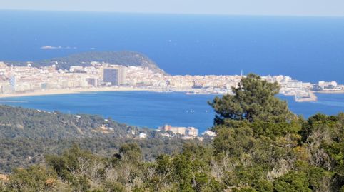 Casa espectacular, en exclusiva zona de Platja DAro., imatge 2