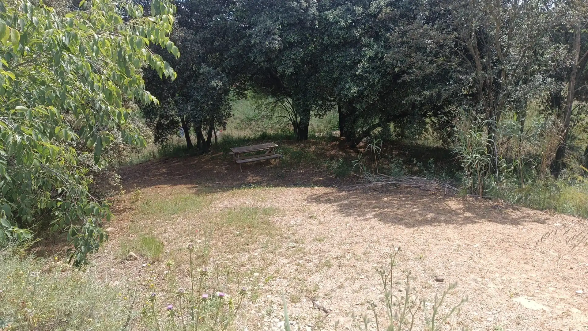 Terreni e lotti in vendita a Almunia de San Juan, imagen 4