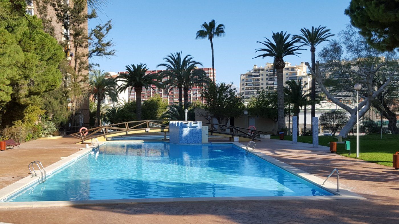 Swimming pool of Apartment to rent in Alicante / Alacant  with Air Conditioner, Private garden and Community pool