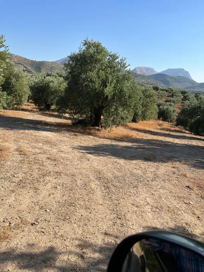 Terreny rústic en venda a Priego de Córdoba, imagen 7