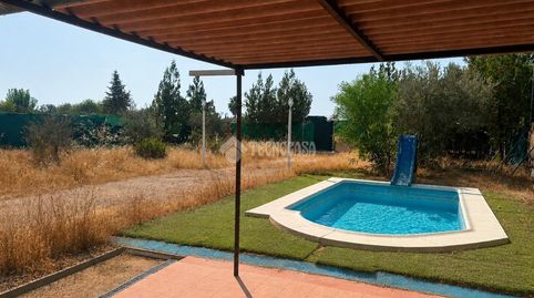 Foto 3 de Finca rústica en venda a Urb. Los Olivares , (llano Verde) Calle Irene, Arahal, Sevilla