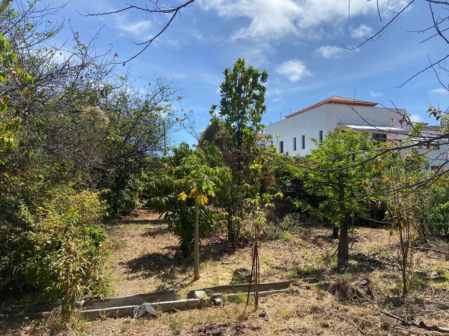 Residential land for sale in Camino la Cueva del Rey 8, imagen 19