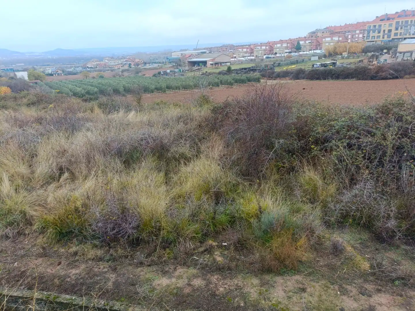 Rural land for sale in Villamediana de Iregua, imagen 5