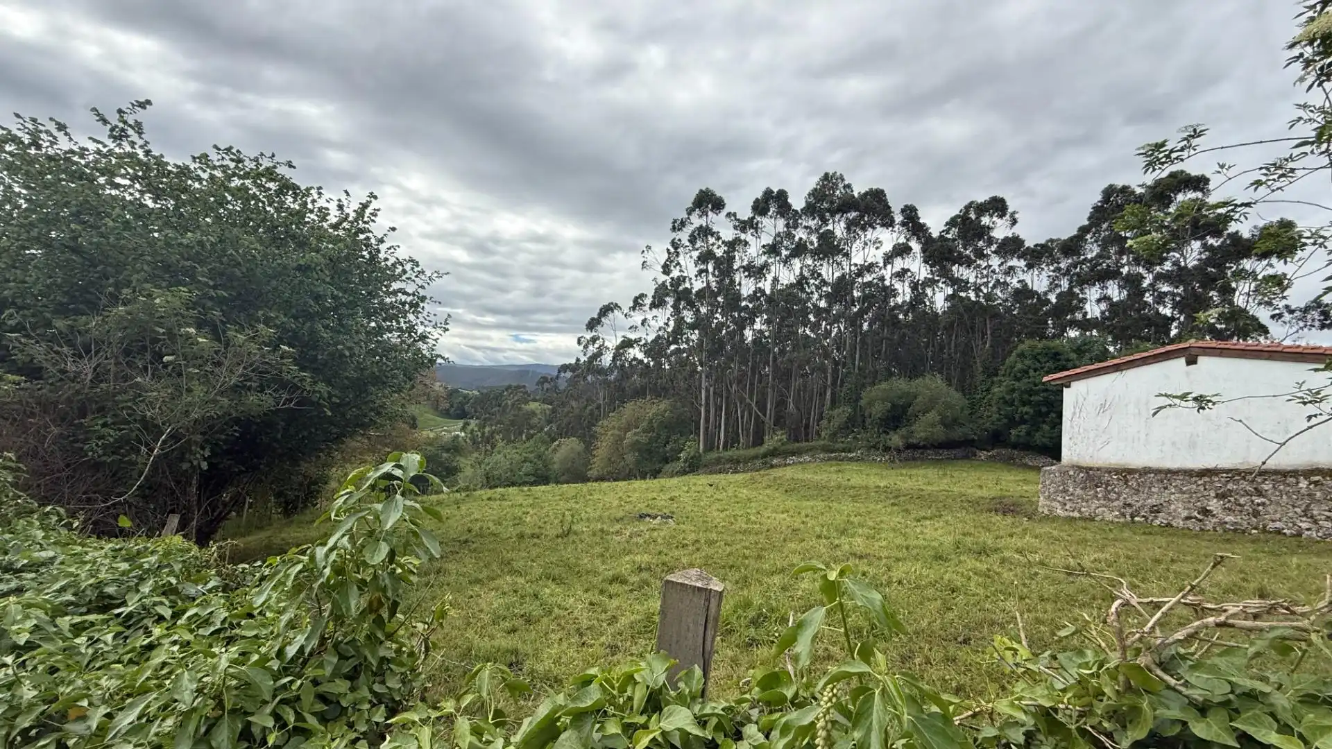 Terreno en venta en Valdáliga