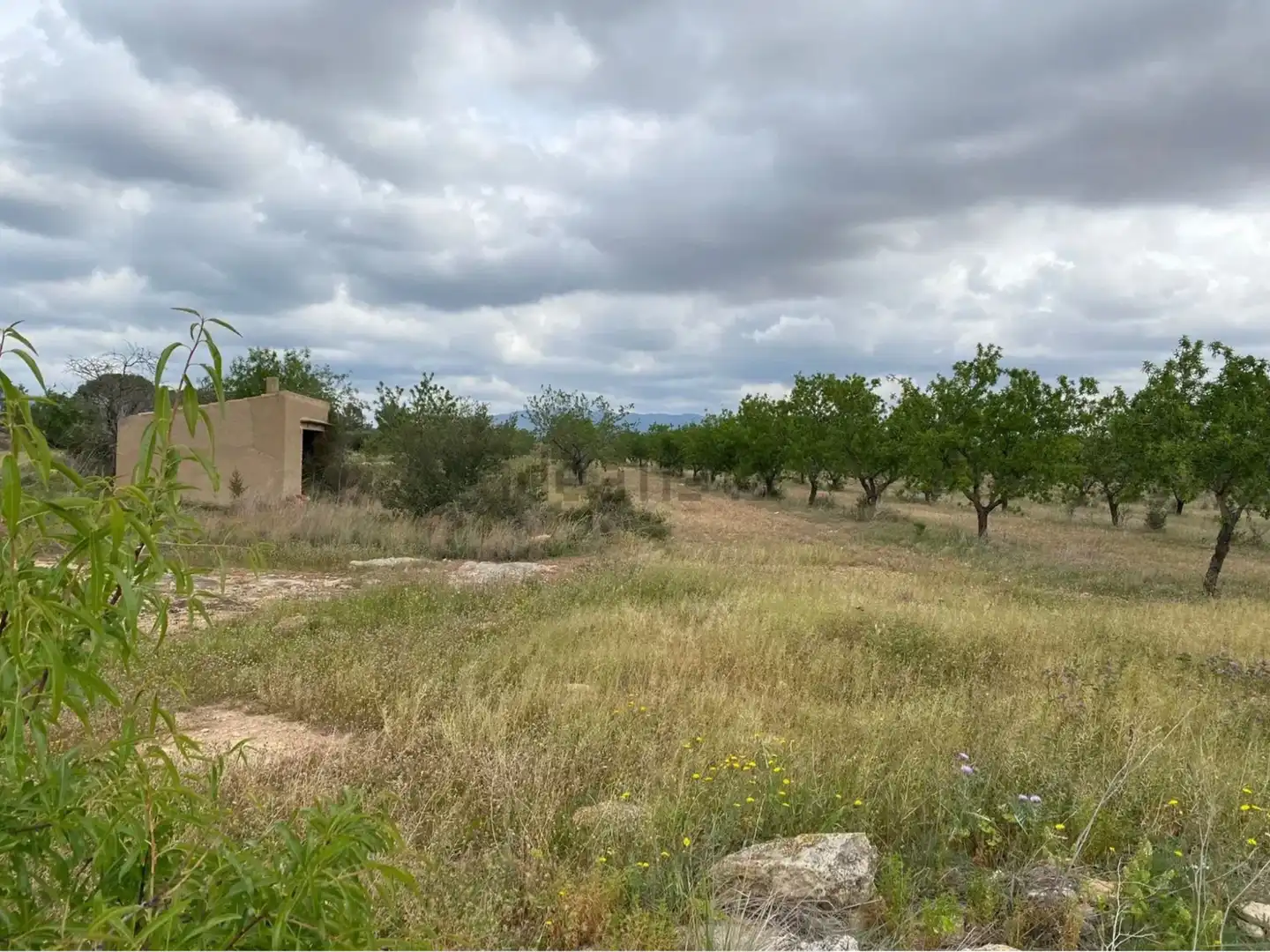 Terrain rustique à vendre à Carrer dels Teixidors, imagen 2
