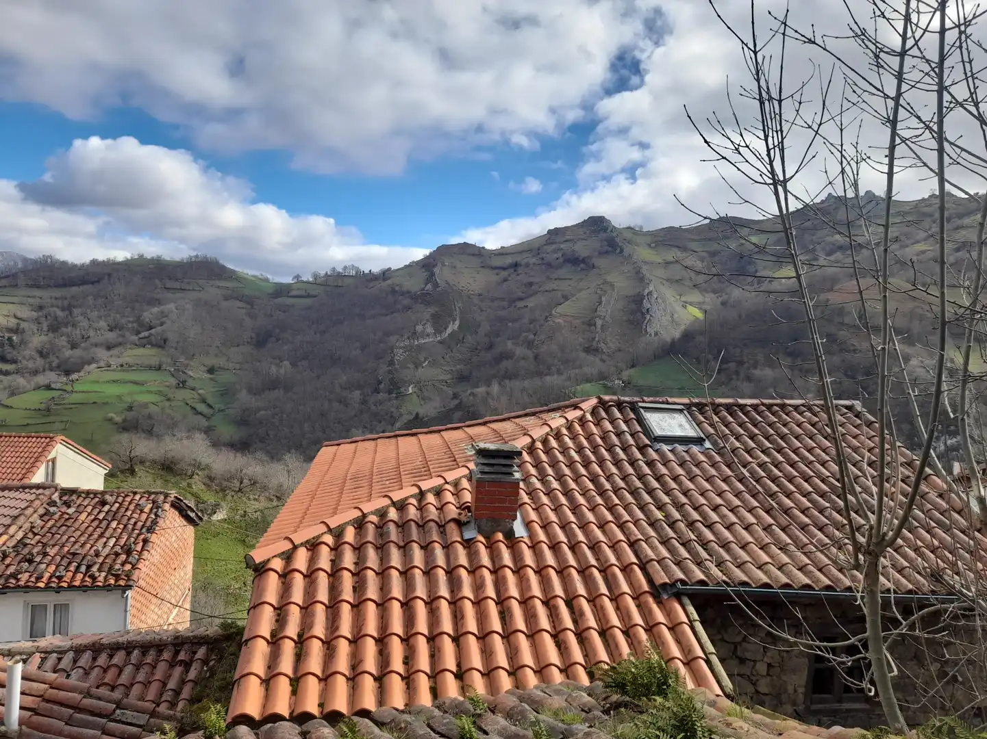 Vista exterior de Casa o chalet en venta en Laviana