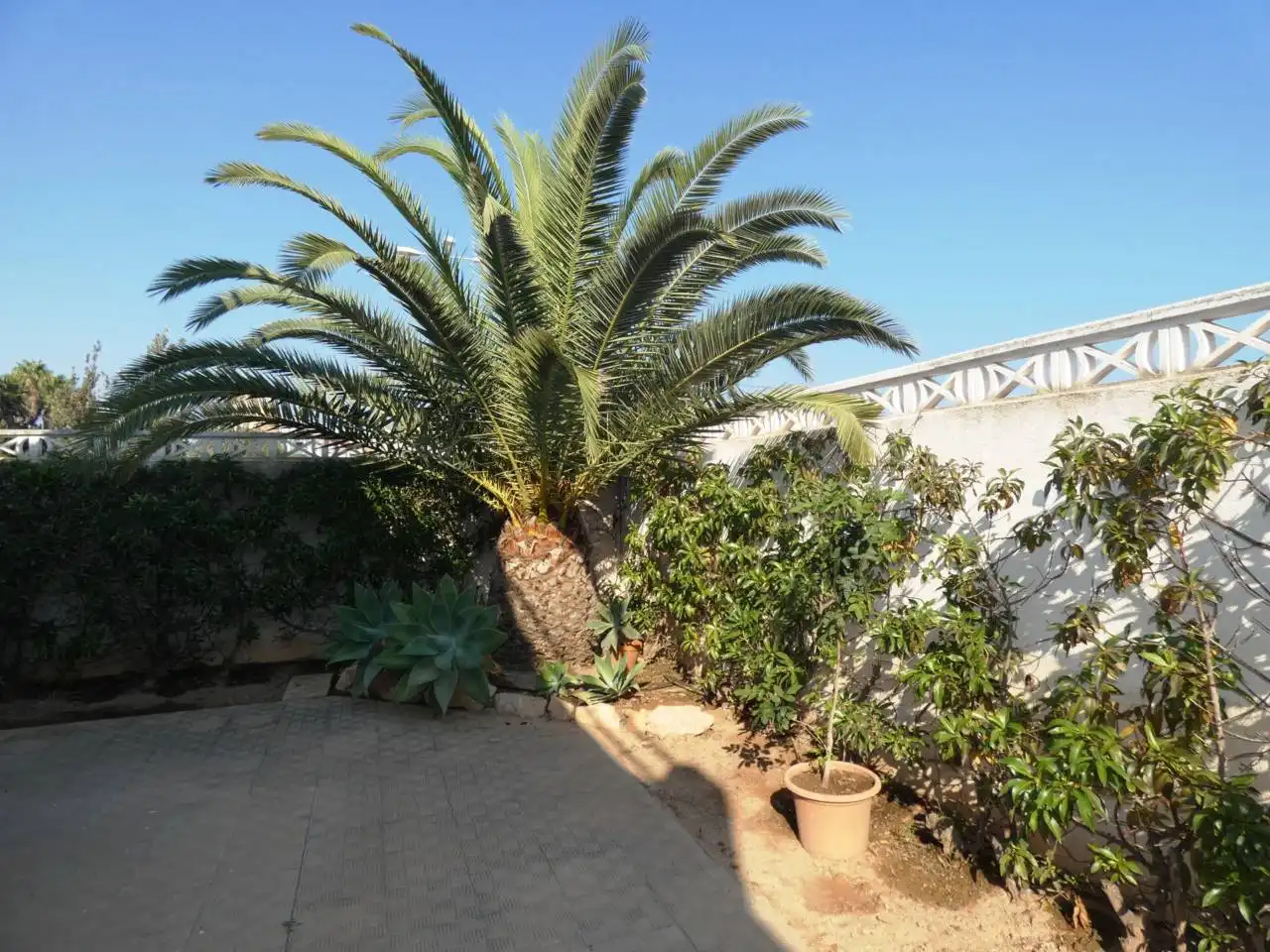 Houses for sale in El Sabinar – Urbanizaciones – Las Marinas – Playa Serena