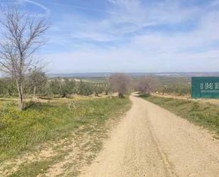 Land for sale in Albaida del Aljarafe